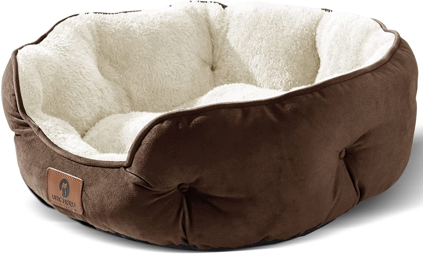 ```The Cozy Canine Cloud: A Snuggle Sanctuary for Tiny Tails and Furry Felines - The Ultimate Pup & Purr Palace, 20 Inches of Fluff-tastic Fun!```